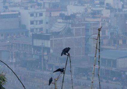 लुम्बिनी र सुदूरपश्चिम प्रदेशका तराई क्षेत्रमा तातो लहर चल्ने