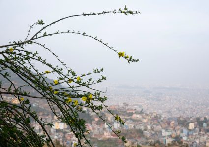 तराईमा आज पनि तातो हावा चल्ने