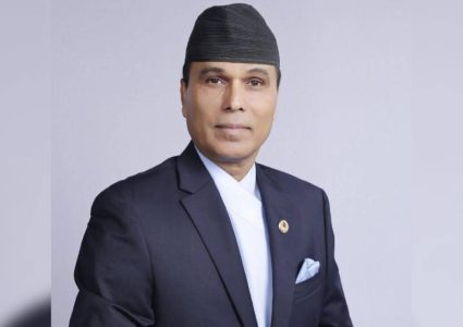 बिक्रम पाण्डेलाई थप ८ दिन हिरासतमै राखेर अनुसन्धान गर्न प्रहरीलाई अनुमति