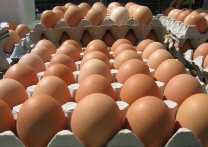फेरि बढ्यो अण्डाको मूल्य, प्रतिक्रेट कति पुग्यो ?