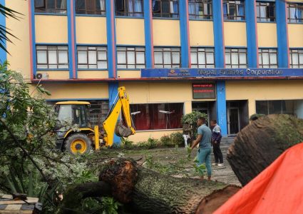 हावाले वायु सेवा निगम परिसरमा ढल्यो रूख, गेट र पर्खालमा क्षति