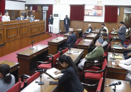प्रतिनिधि सभा सदस्य निर्वाचन विधेयक राष्ट्रिय सभाबाट पारित