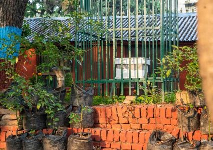 काठमाडौं महानगरपालिकाले ८ वटा पार्कमा मौरीका घार राख्यो