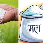 कृषि सामग्री कम्पनीका गोदाममा थन्कियो झण्डै १० करोड केजी मल