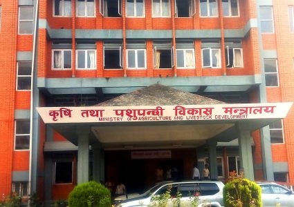 सातै प्रदेशमा कृषि गणना गरिँदै