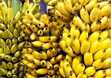 केरा कतिखेर खाँदा स्वास्थ्यका लागि फाइदाजनक ?