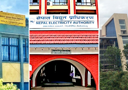 ४५ सार्वजनिक संस्थानमध्ये २७ नाफामा, १६ नोक्सानीमा
