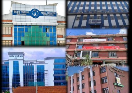 ४५ संस्थानमा सरकारको ८ खर्ब लगानी, २० संस्थान पूर्ण स्वामित्वमा