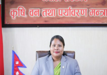 एमएसपी निर्धारणमा कृषि मन्त्रालयको फड्को, धान–गहुँको मूल्य तय गर्दै किसानलाई पूर्वसूचना