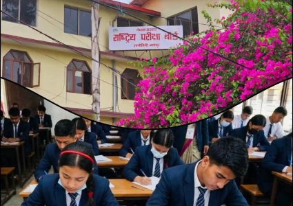 कक्षा १२ को नतिजा सार्वजनिक