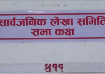 सार्वजनिक लेखा समितिको बैठक स्थगित