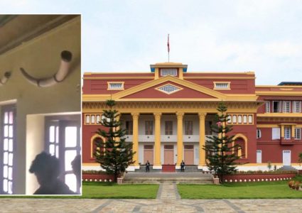 राष्ट्रपति कार्यालयबाट हात्तीका दाह्रा चोरी प्रकरण : ६ जना पक्राउ