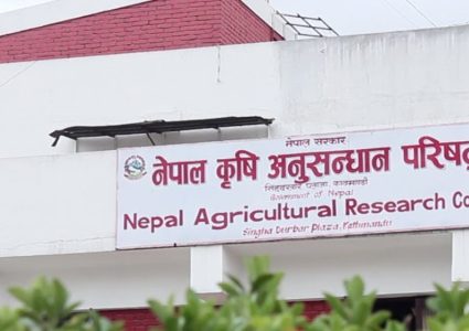 कृषि अनुसन्धान परिषद्ले हटायो दुई कर्मचारी