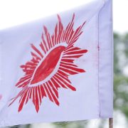 विष्णु पौडेललाई बिनासर्त रिहा गर्न एमालेको माग