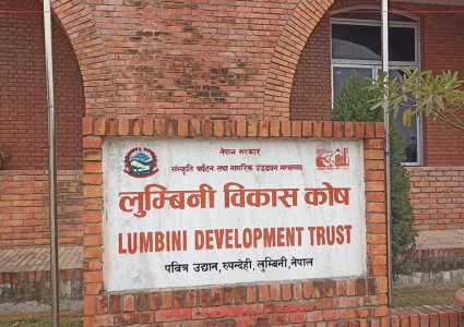 लुम्बिनी विकास कोषका १२ पदमा सात सयभन्दा बढी आवेदन