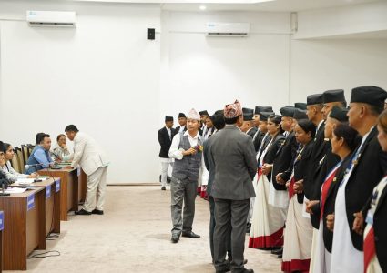 प्रतिनिधिसभामा श्रम संस्कृति पार्टीको विरोध, सांसदहरूले गरे वेल घेराउ
