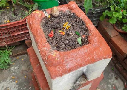 ज्येष्ठ शुक्ल एकादशी : घरघरका मठमा तुलसीको दल राखिँदै