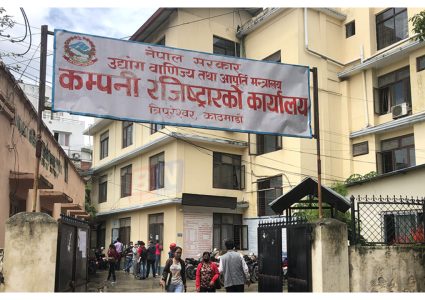 कम्पनीको प्यान नम्बर र प्रमाणपत्र सोझै डाउनलोड गर्न सकिने
