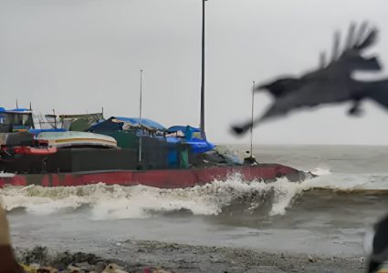 महाराष्ट्रमा भीषण वर्षाको कहर, मुम्बईका सबै विद्यालय–कलेज बन्द