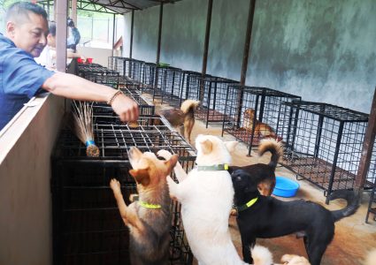 बागलुङ नगरपालिकाको अभिनव ‘कुकुर होस्टेल’: सामुदायिक कुकुरहरूको सुरक्षित बास र&hellip;