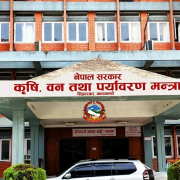 किसानले उत्पादन गरेको खसीबोकाको उचित मूल्य सुनिश्चित गर्न मन्त्रालयको चासो