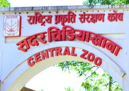 सदर चिडियाखानामा बर्डफ्लु नियन्त्रणमा