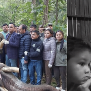 हिंस्रक ध्रुवे हात्तीले आमाछोराको ज्यान लियो