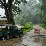 वर्षायाम सुरु भएसँगै चितवन राष्ट्रिय निकुञ्जभित्रको जंगल सफारी बन्द