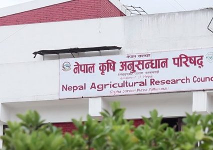बेपत्ता कर्मचारी सेवाबाट हटाइए, नार्कमा कारबाहीको सुरुवात