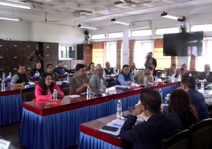 लेखा उपसमितिको नेतृत्वमा महिला सांसदको दाबी