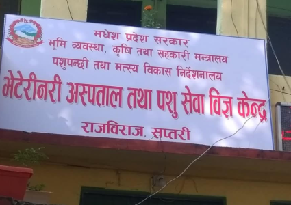 सप्तरीको भेटेरिनरी अस्पतालमा अख्तियारको छापा, कार्यालय प्रमुखसहित २ पक्राउ