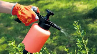 विषादी प्रयोगमा सावधानी नअपनाउँदा क्यान्सर र मिर्गौला रोगी बढ्दै