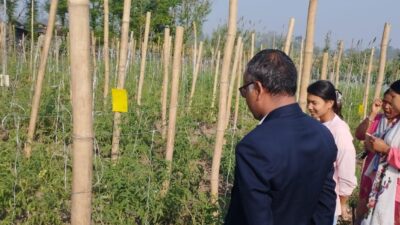 मानव स्वास्थ्य र माटो संरक्षणका विषादीरहित तरकारी उत्पादनमा किसान