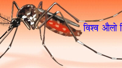 विश्व औलो दिवसः नेपालमा आयातित औलोका बिरामी बढी