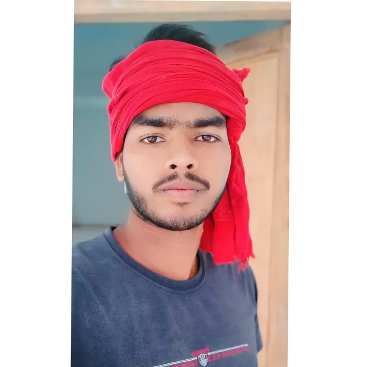 Raj Ronak