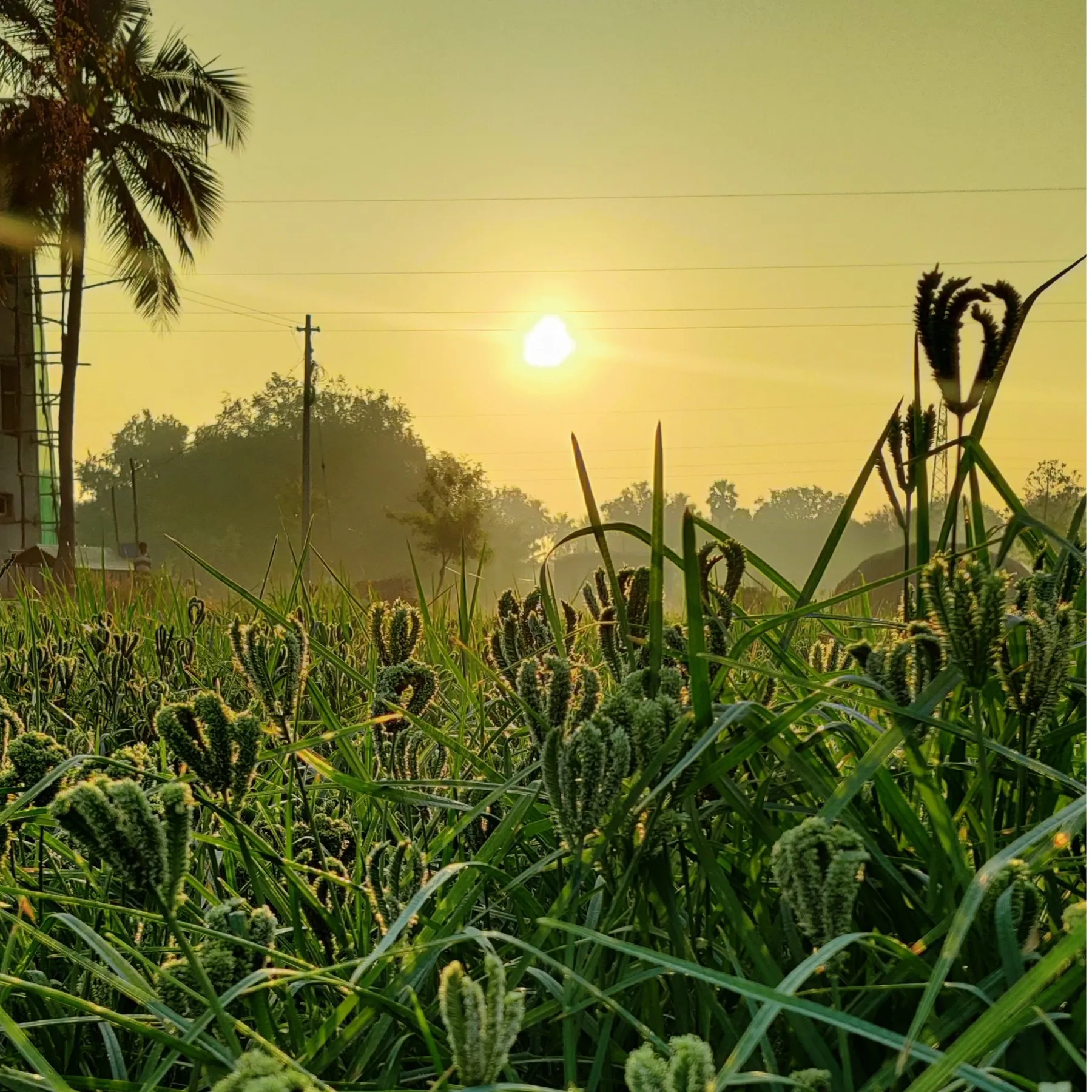 Village Tn83