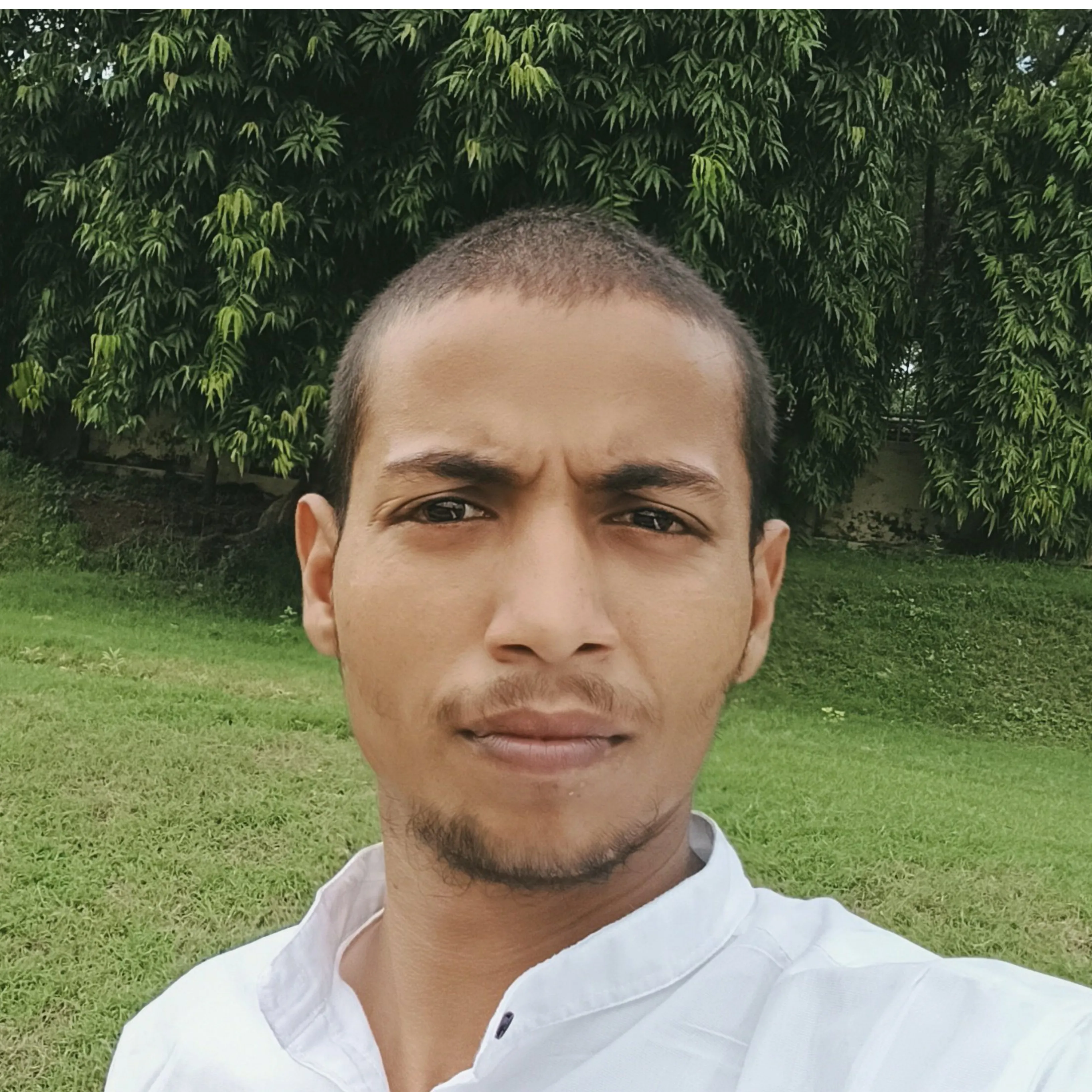 Ram Narayan