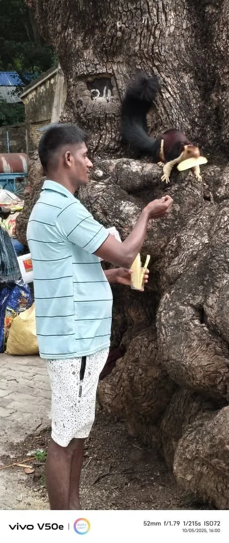 babu ramand