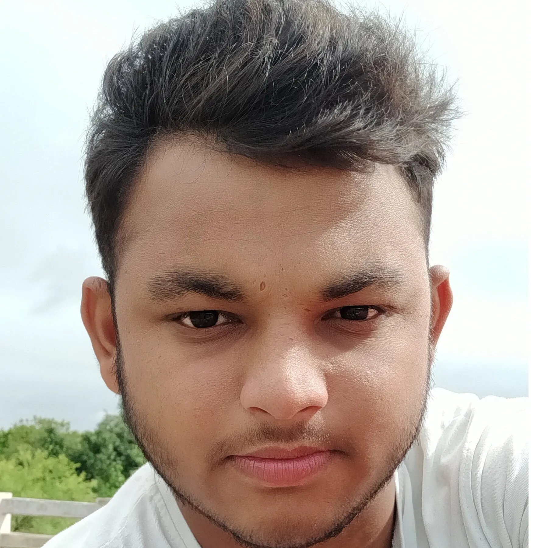 Brusav Meher