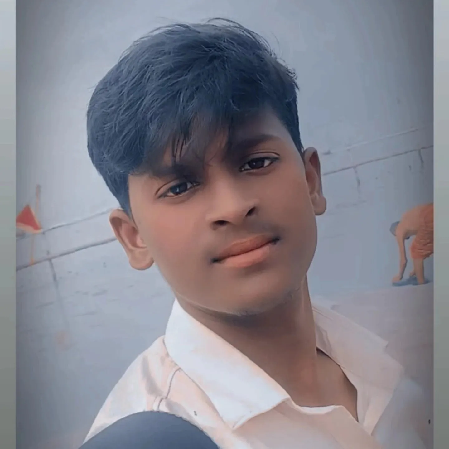 Mr.Anurodh Kumar