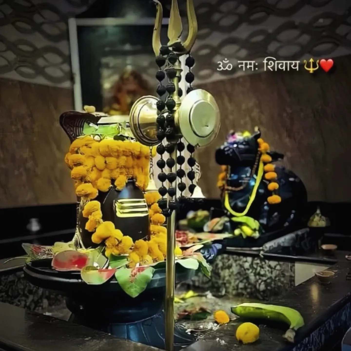 Ayush parmar
