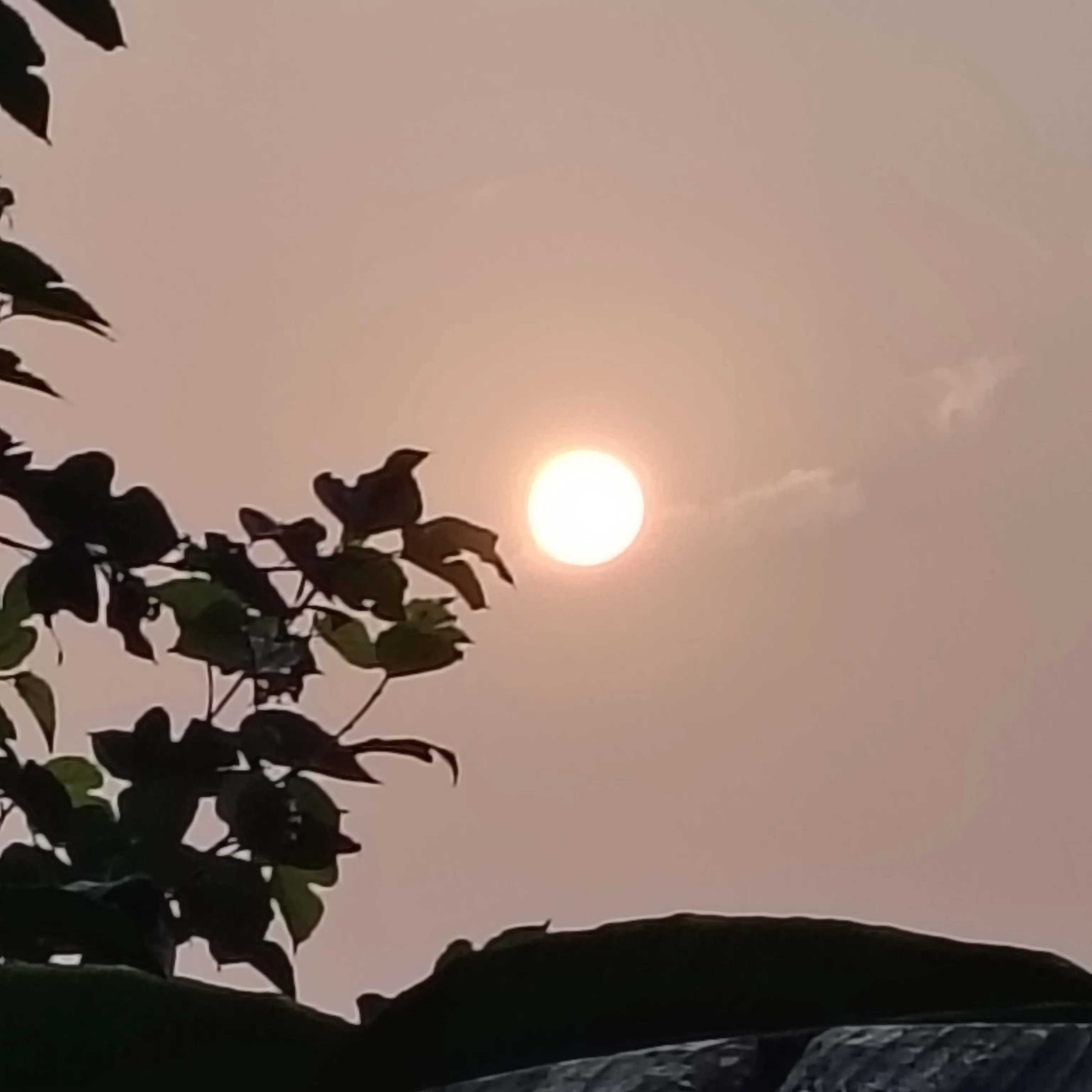 Sonu Kumar