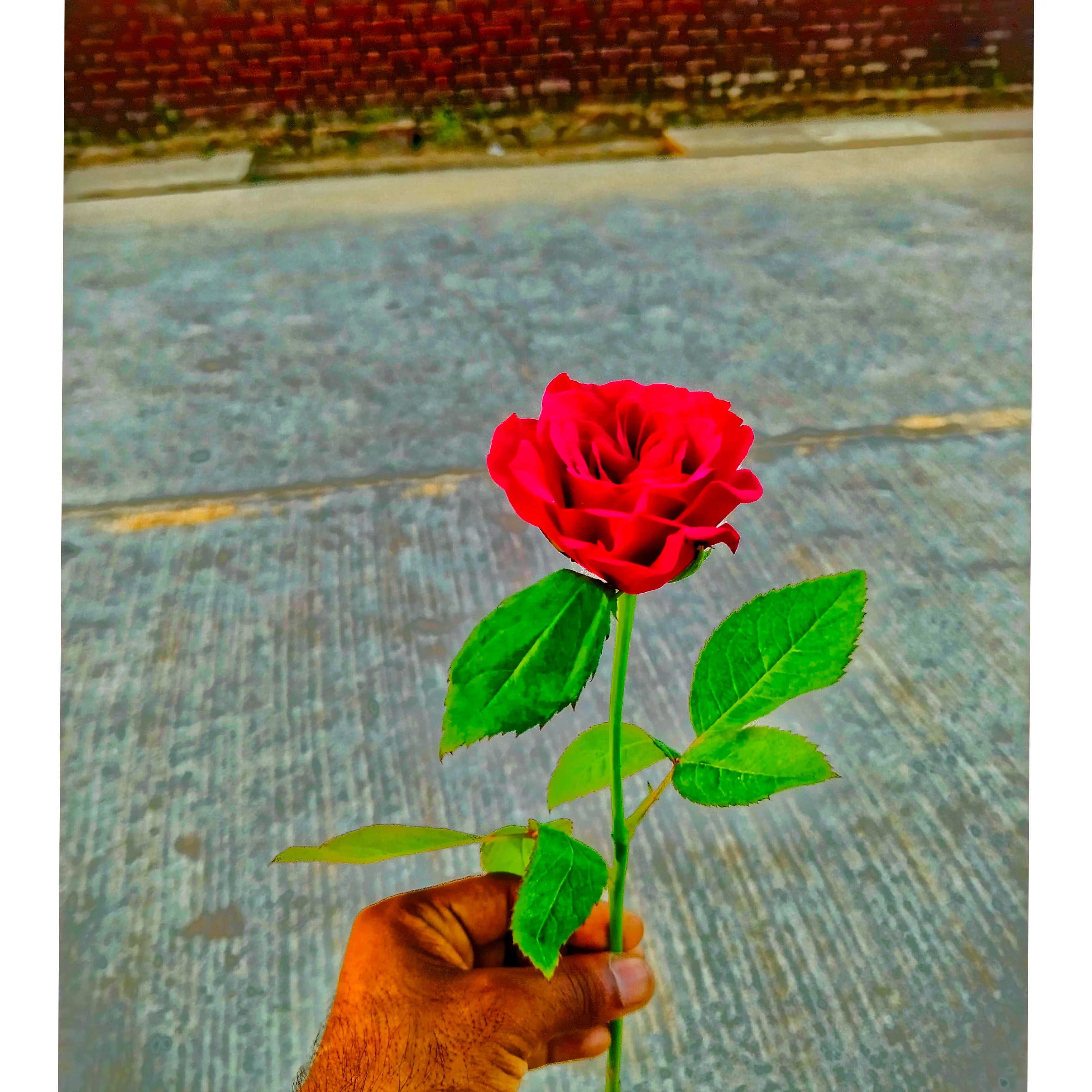 pagal ladka