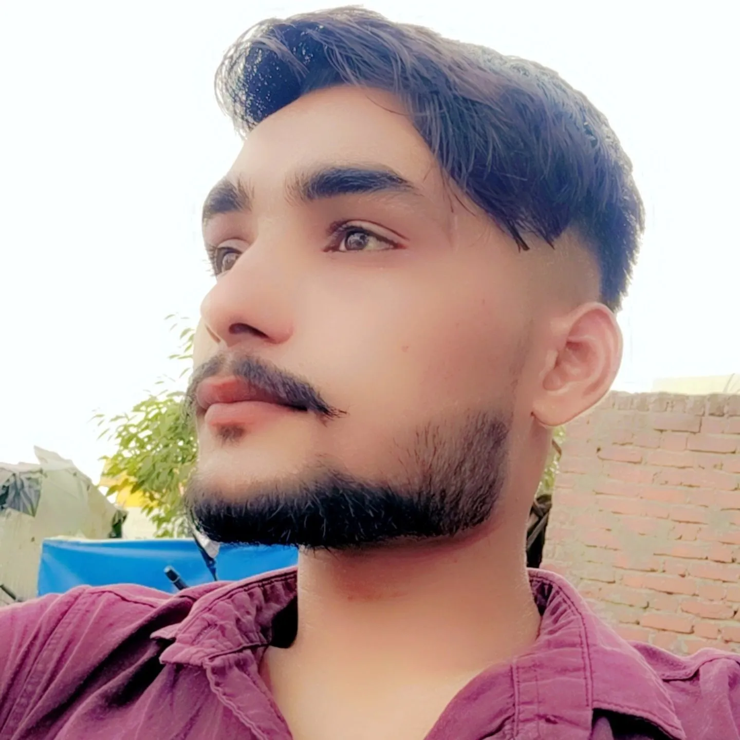 abhishek sharma