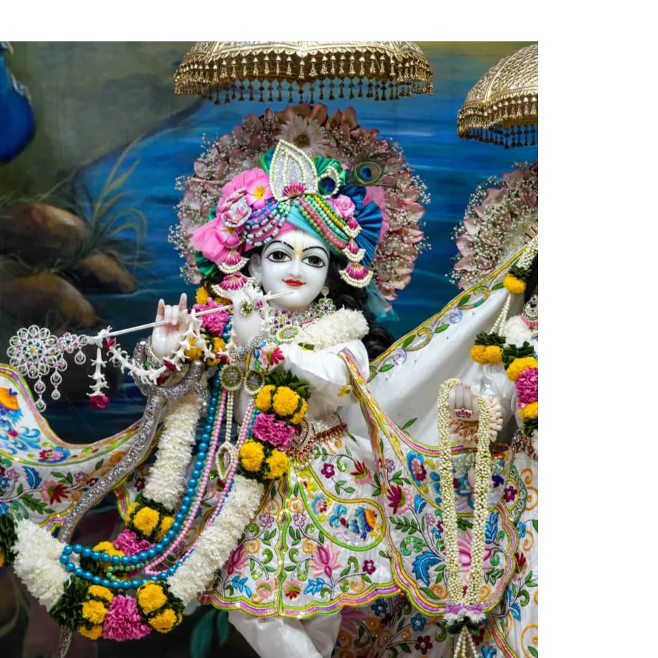 ashneet yadav
