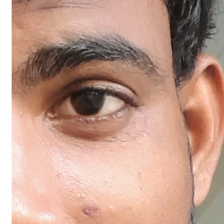 raja yadav