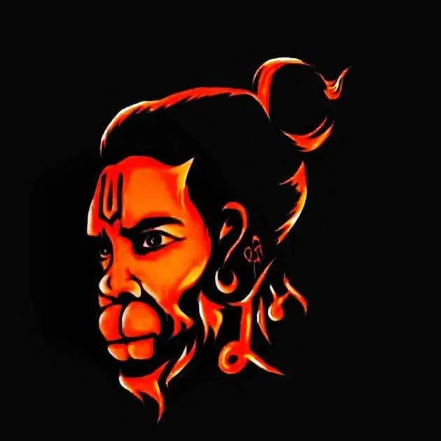 सनातनी गणेश🚩