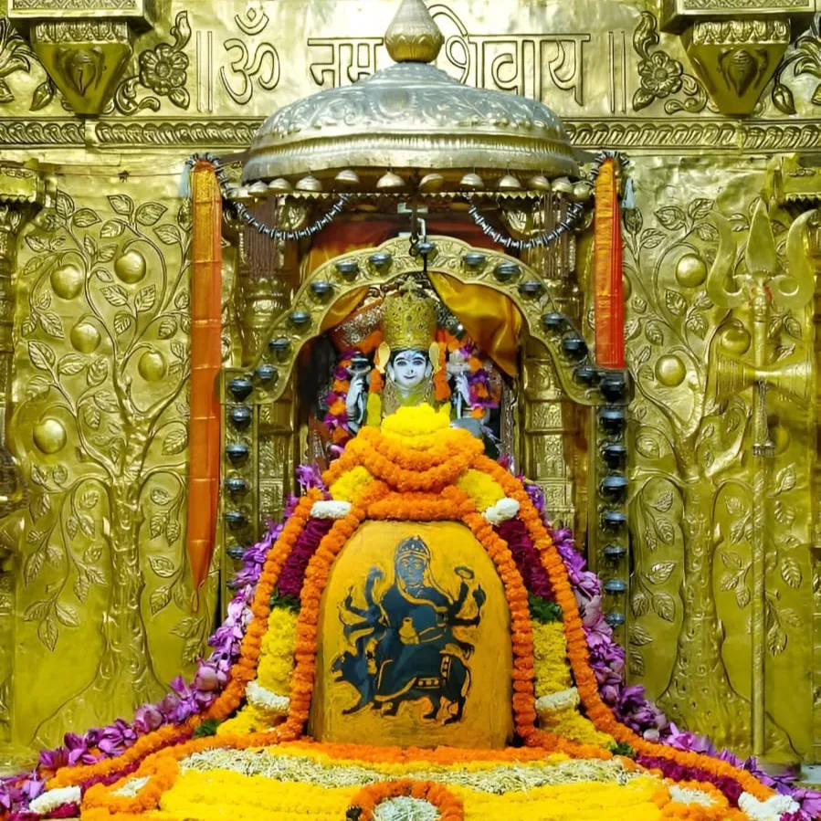 Jenish Dholakiya