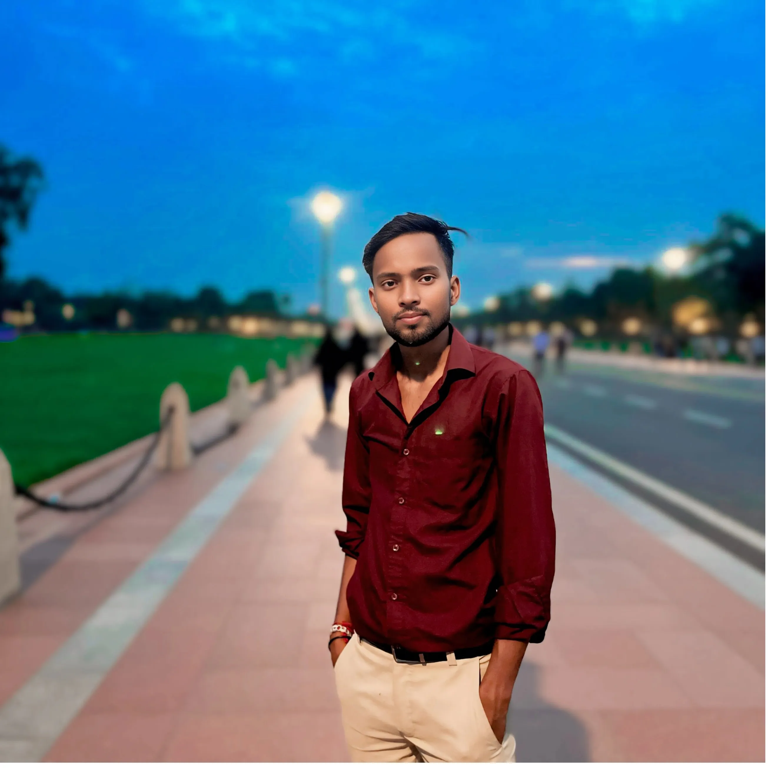 vishal basti