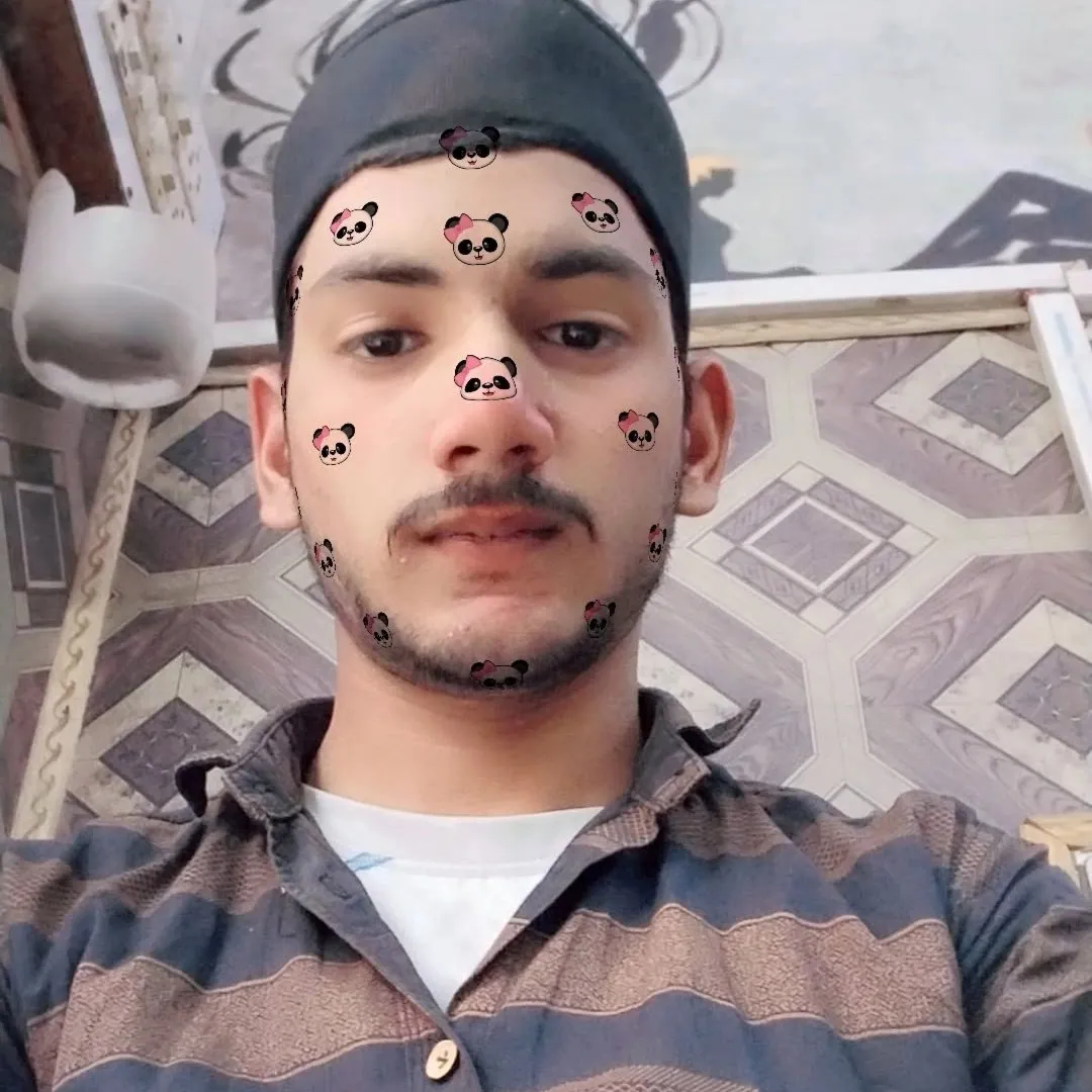 Alam Malik
